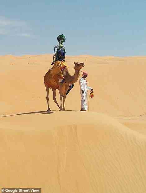 Kamelrücken-Wüstenbilder wurden 2014 aufgenommen