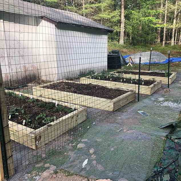 Gilbert said she started to grow her own strawberries and has a chicken coop that she tends to every morning