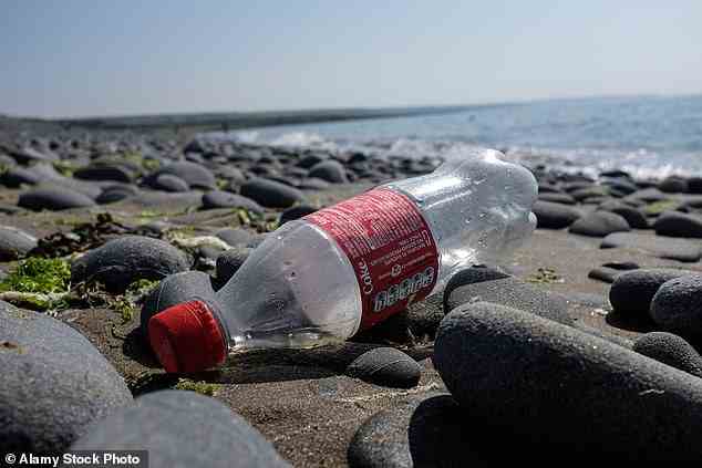 Die von einem Team der Loughborough University geleitete Studie ergab, dass fast zwei Drittel (63 Prozent) des Mülls aus Plastik bestehen.  Inzwischen werden dem Bericht zufolge Produkte von Coca-Cola, McDonald's und Budweiser sowie die gängigsten Markenartikel ausrangiert