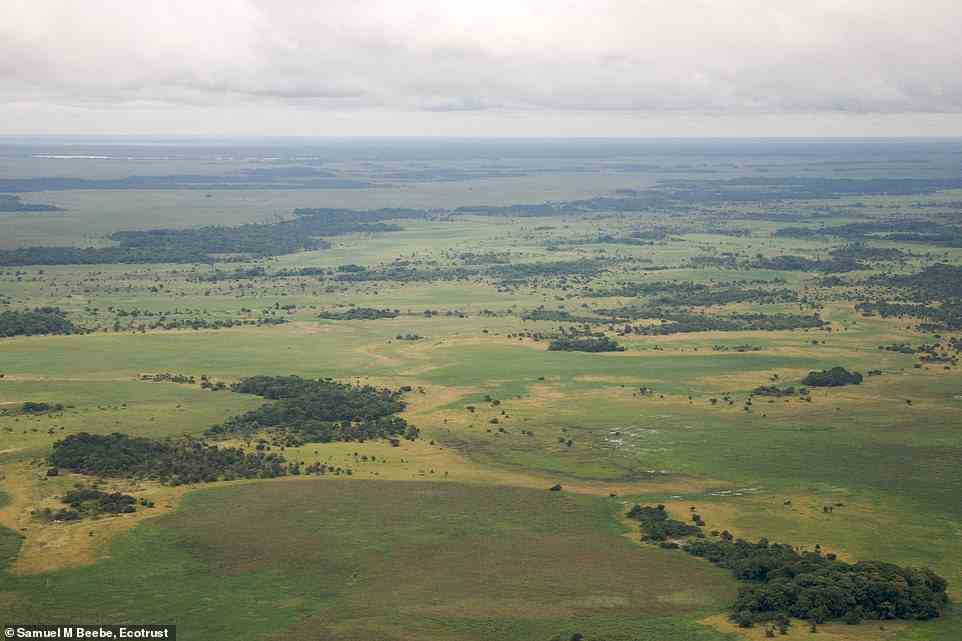 The Mojos Plains, on the southwestern fringe of the Amazon region, flood several months a year during rainy season, making them unsuitable for permanent settlement.