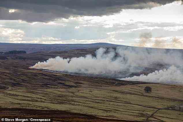 Regulations on peat burning were brought in by DEFRA in February 2021, but have been criticised for having loopholes and not being effective