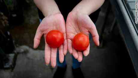 Wissenschaftler haben das Vitamin-D-Potenzial von Tomaten erschlossen, heißt es in einer Studie