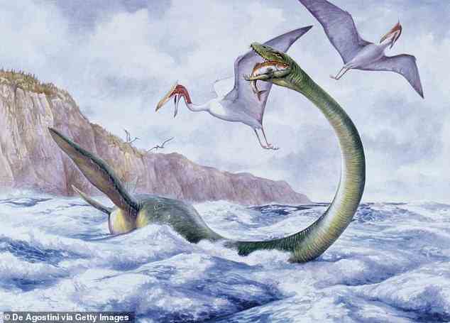 Die Elasmosaurier, bekannt für einen giraffenähnlichen Hals und einen schlangenähnlichen Kopf, sind eine Plesiosauriergattung, die während des kampanischen Stadiums der späten Kreidezeit vor etwa 80,5 Millionen Jahren in Nordamerika lebte