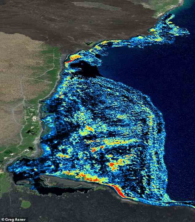 Wissenschaftler der Arizona State University haben schockierende Karten veröffentlicht, die die Auswirkungen der marinen Hitzewelle auf Korallen zeigen.  Hellere Farben zeigen Standorte von Korallen an, die nach einem Bleichereignis abgestorben sind