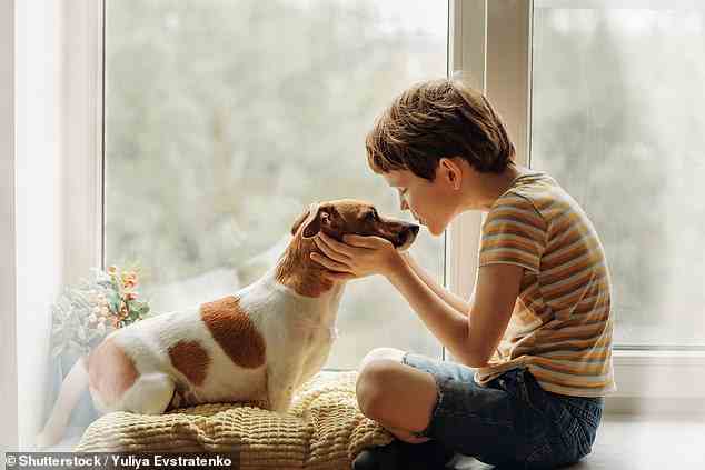 Forscher der University of Toronto fanden heraus, dass kleine Kinder, die mit einem Familienhund aufwachsen, einen gesünderen Darm haben und weniger wahrscheinlich an Morbus Crohn erkranken – einer häufigen entzündlichen Darmerkrankung (Archivbild)