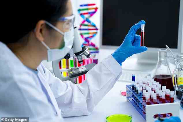 Britische Forscher rekrutierten 102 gesunde Menschen, deren vollständiger DNA-Code aus Blut- oder Speichelproben gelesen wurde.  Diese wurden dann auf 566 separate genetische Veränderungen untersucht (Archivbild)