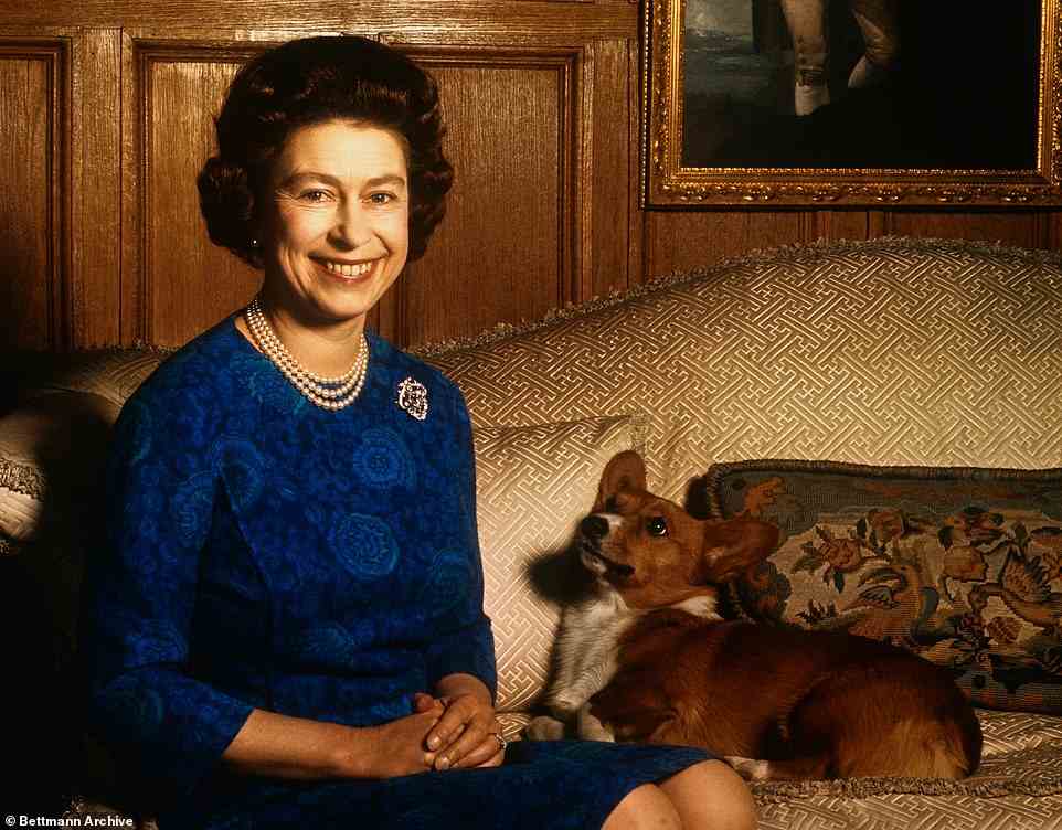 Queen Elizabeth II leaves behind four royal canines; two corgis, Candy and Muick, a corgi-dachshund cross - or 'dorgi' - named Sandy, and her most recent addition, Lissy, a cocker spaniel she named after herself. Pictured: The Queen with one of her corgis at Sandringham, 1970. She owned over 30 during her reign