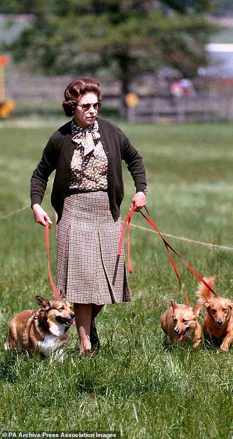 The Queen with her corgis at the Windsor Horse Trials