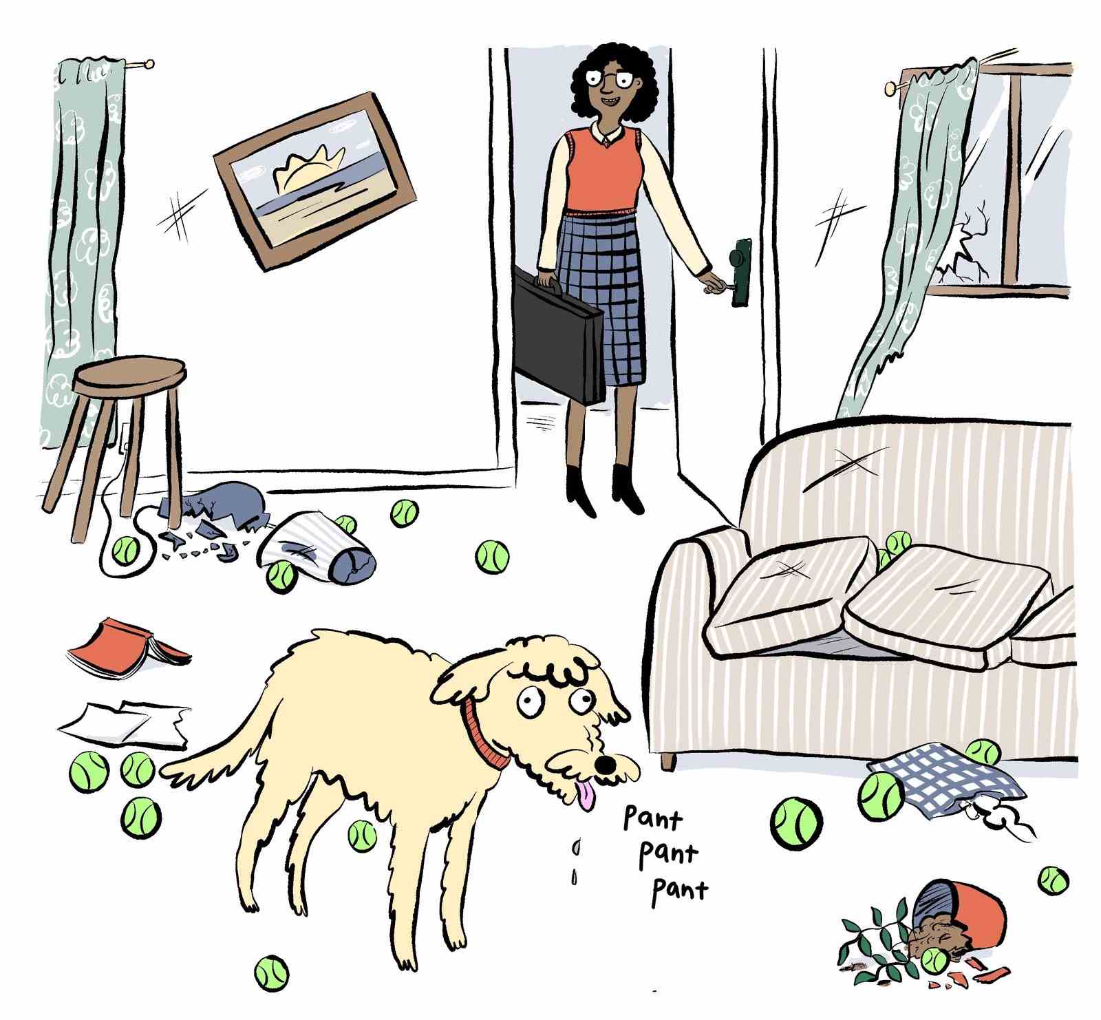Der Besitzer öffnet die Haustür zur Wohnung, die mit Tennisbällen und ihrem hechelnden Hund bedeckt ist.