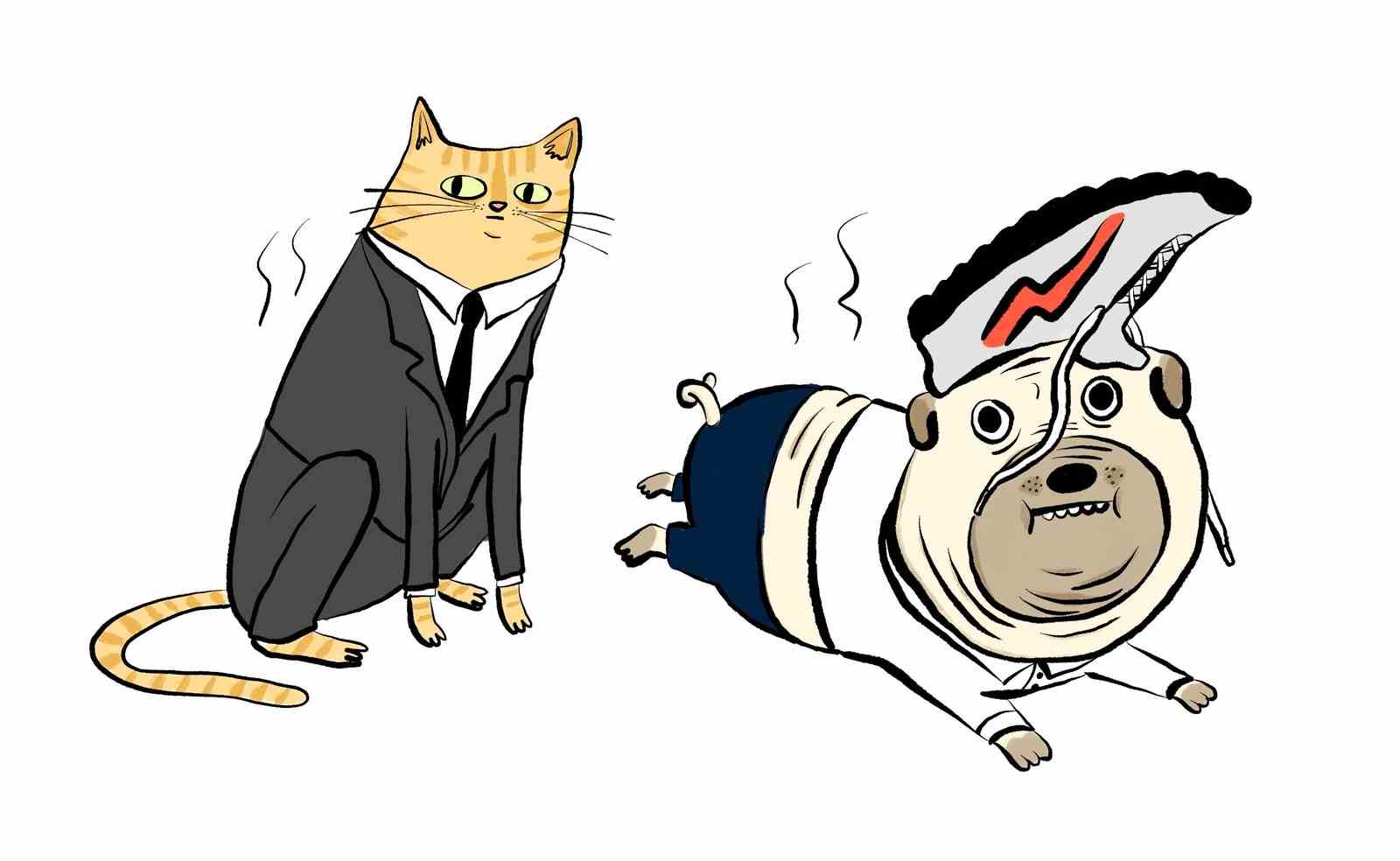 Katze und Hund tragen maßgeschneiderte Kraftanzüge aus der Trainingskleidung ihrer Besitzer.