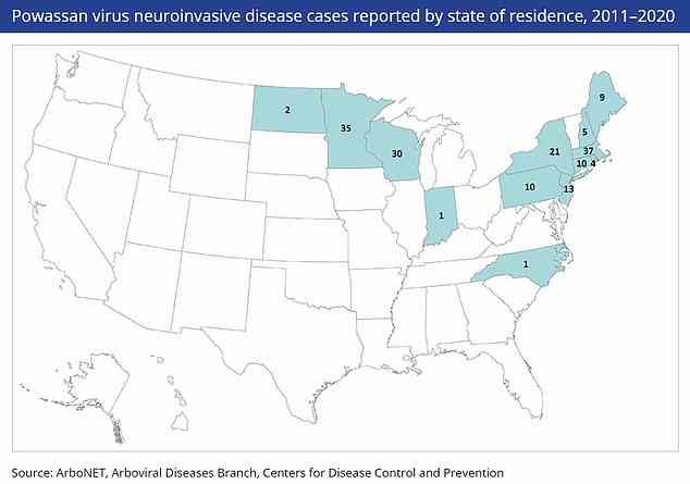 Oben abgebildet sind alle Staaten, die das Powassan-Virus seit 2011 entdeckt haben, und die Anzahl der Fälle, die sie in einem Jahrzehnt registriert haben (Anzahl für jeden Staat).