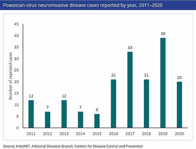 Dies zeigt die Anzahl der Fälle von Powassan-Virus, die in den Vereinigten Staaten registriert wurden.  Im Jahr 2019 wurde ein Rekord von 39 aufgenommen