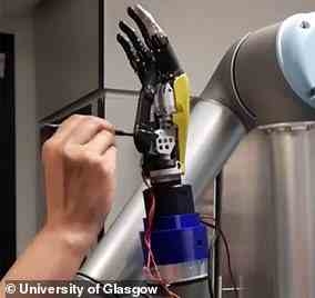 Handlich: Wissenschaftler glauben, dass Roboter bald Schmerzen empfinden könnten, nachdem sie eine elektronische Haut entwickelt haben, die unangenehme Empfindungen nachahmen kann (Bild)