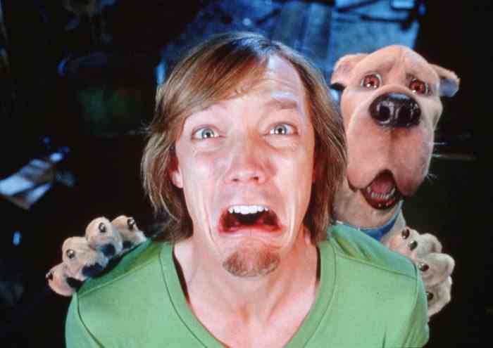 Matthew Lillard kann sich nicht vorstellen, Scooby-Doo Shaggy 3 neu aufzulegen
