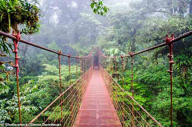 One Black Tomato client proposed in a clearing that ‘very few have ever trekked to’ in Costa Rica’s Monteverde Cloud Forest Biological Preserve (pictured)