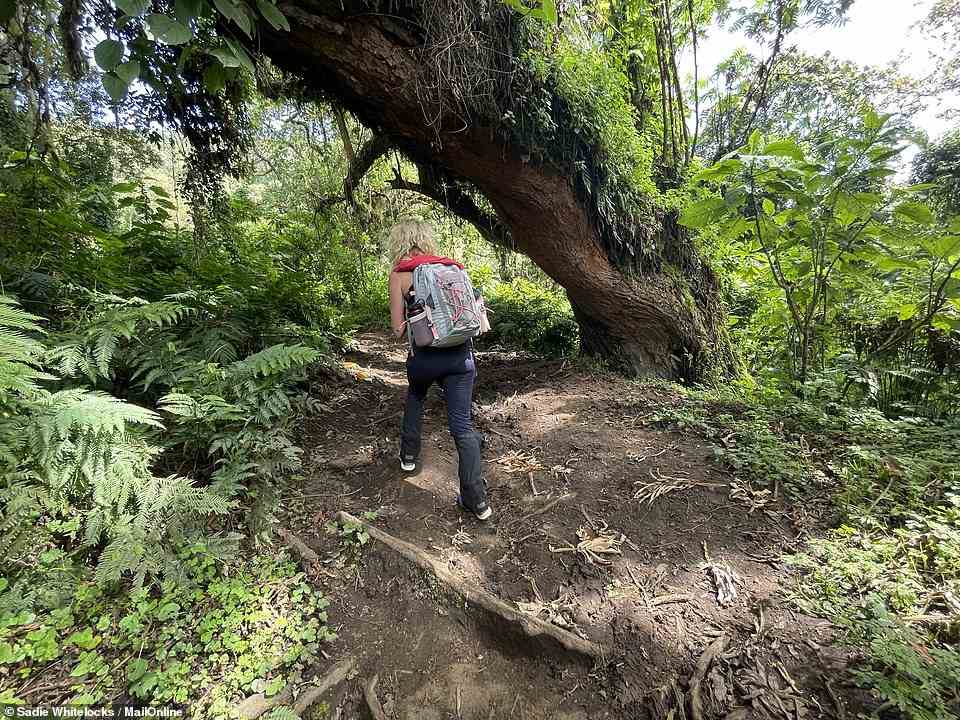 Sadie, pictured, said of the hike up Mount Karisimbi: 'Given its steep slopes and meandering paths through shoe-swallowing bogs and gulleys of shin-deep mud, this certainly isn't a trek for the faint-hearted'