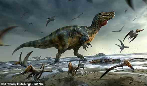 Auf der Isle of Wight wurden die Überreste des möglicherweise größten Raubsauriers ausgegraben, der jemals in Europa gefunden wurde.  'White Rock Spinosaurier' ist in einer künstlerischen Darstellung abgebildet