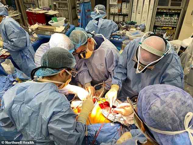 Oben abgebildet ist Richard Bernstein, 62, während der Operation im Lenox Hill Hospital in New York City.  Der Eingriff dauerte etwa 12 Stunden