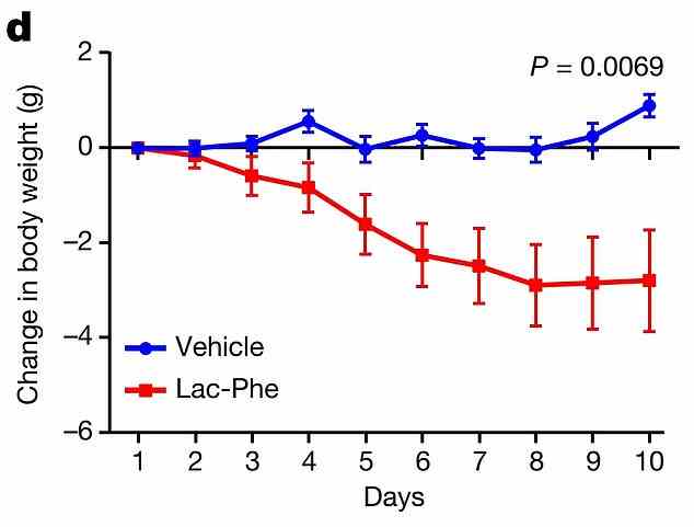 Die Grafik zeigt: Das Körpergewicht von Mäusen, denen die Chemikalie täglich (rot) verabreicht wurde, im Vergleich zu denen, denen eine Kontrolle (blau) über zehn Tage verabreicht wurde