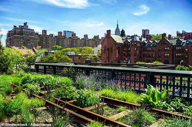 Folgen Sie dem Pfad entlang der High Line (oben), die sich über 1,5 Meilen erstreckt – es kostet keinen Cent
