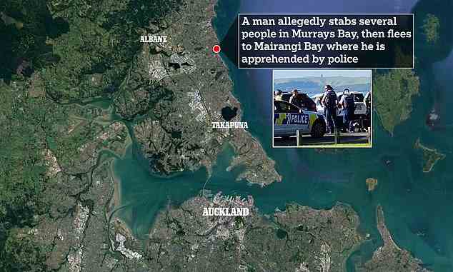 Der Mann soll mehrere Menschen in Murrays Bay erstochen haben, bevor er festgenommen wurde