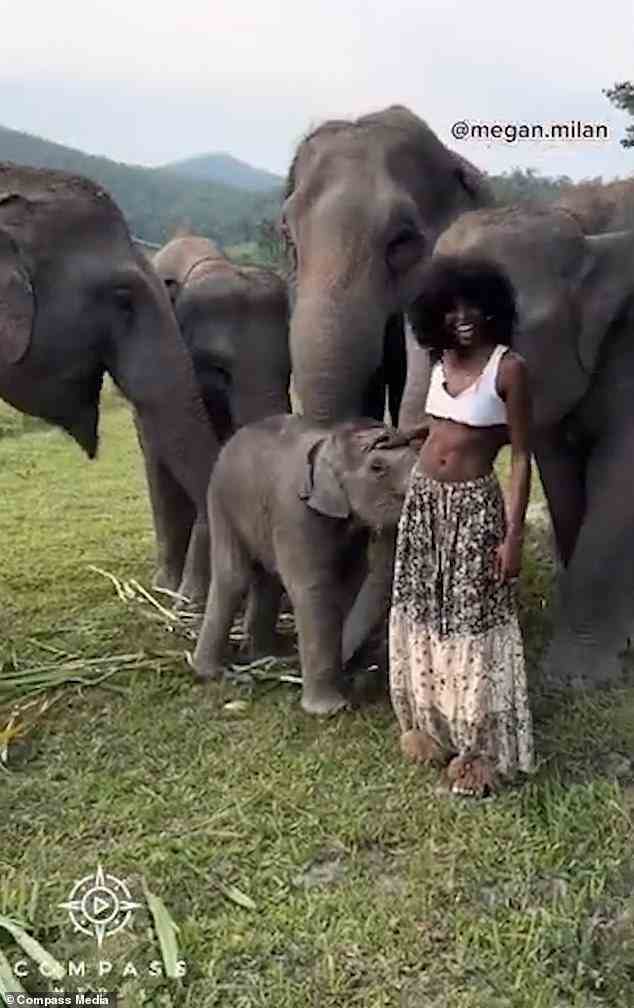 Megan sagte, sie wollte schon immer nach Thailand und nutzte die Gelegenheit, um die Elefanten zu treffen