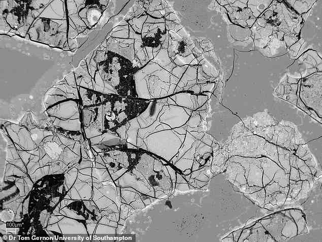 Lavafragmente aus dem Atlantik sind hier unter dem Mikroskop abgebildet