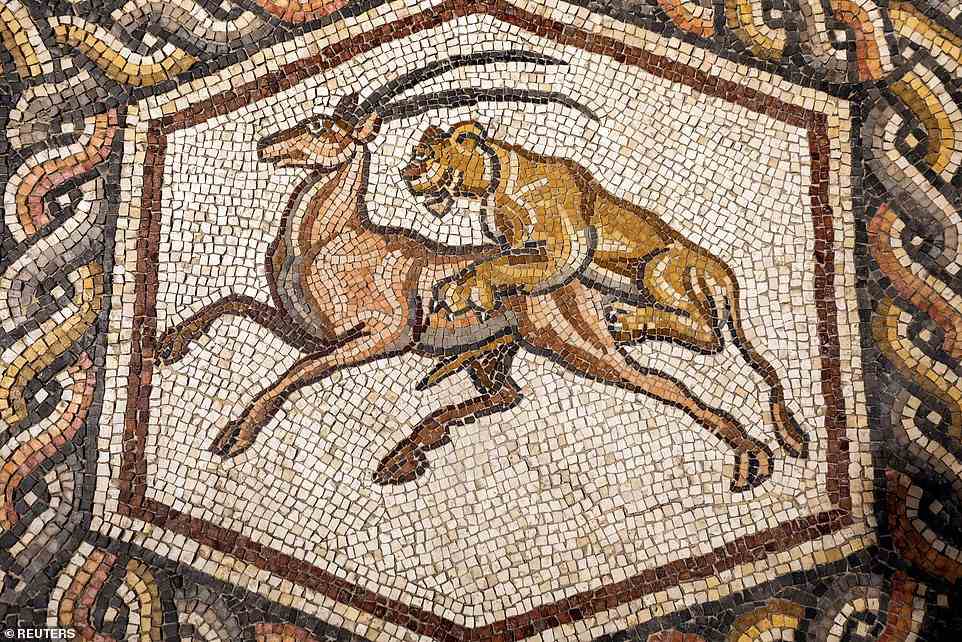 Ein genauer Blick auf die Handwerkskunst des Mosaiks aus der Römerzeit, das jetzt wieder in Israel ist, nachdem es in Museen auf der ganzen Welt ausgestellt wurde.  Diese Szene zeigt einen Hirsch und einen Löwen