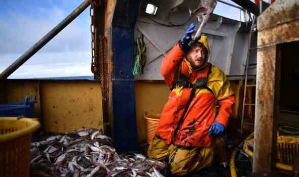 Fischerei: War zentrales Thema der Brexit-Kampagne