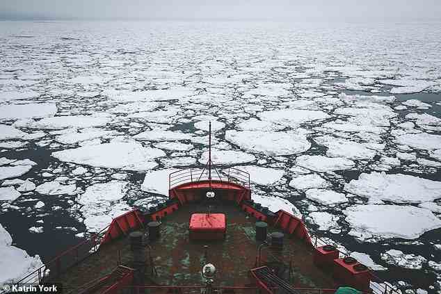 Forscher sagen, dass schmelzendes Eis in der Arktis zu kürzeren, umweltfreundlicheren Seehandelsrouten führen könnte, die die von Russland kontrollierte Nordseeroute umgehen (Dateifoto)