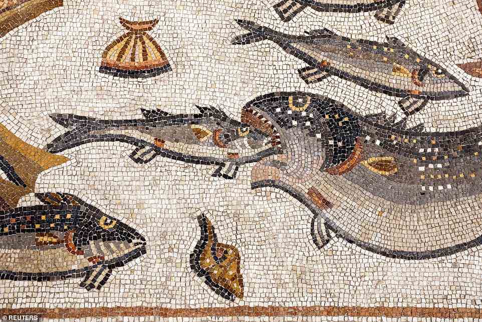 „Es war das größte und beeindruckendste und einzigartigste Mosaik, das in Israel entdeckt wurde“, sagte Mark Avrahami, Leiter der IAA Art Conservation Unit, am Montag.  Oben: Ein detaillierter Blick auf einen Teil des Mosaiks mit mehreren Fischarten