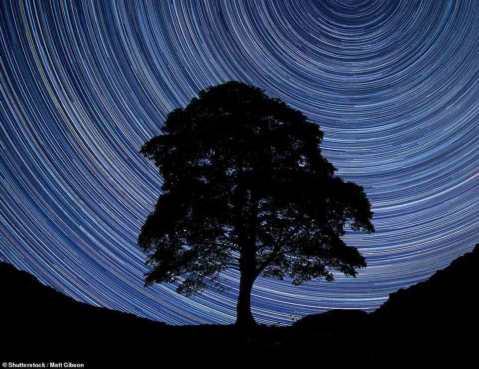 Die 40 besten Reiseerlebnisse in Großbritannien, die Sie ausprobieren sollten, bevor Sie 40 werden, wurden bekannt gegeben – und es ist eine Nacht, in der Sie in Northumberland die Sterne beobachten, die den ersten Platz einnimmt.  Abgebildet ist der Nachthimmel über dem Sycamore Gap Tree in Northumberland