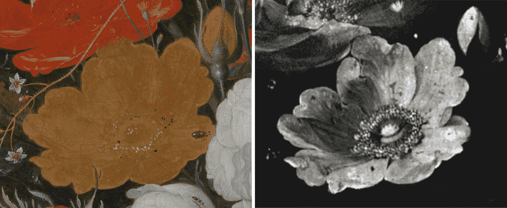 Bild mit bloßem Auge neben einem Röntgenfluoreszenzbild einer gelben Rose im Ölgemälde