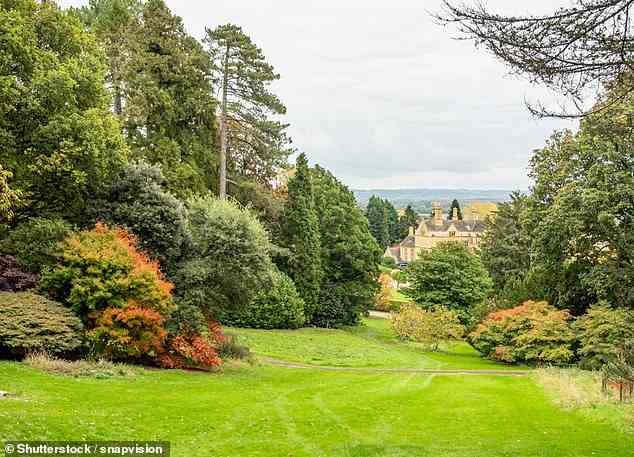 Glorious: Auf der exklusiven viertägigen Tour von The Mail on Sunday erkunden Sie die Gärten einiger der schönsten Häuser der Cotswolds, darunter das Batsford Arboretum (im Bild).