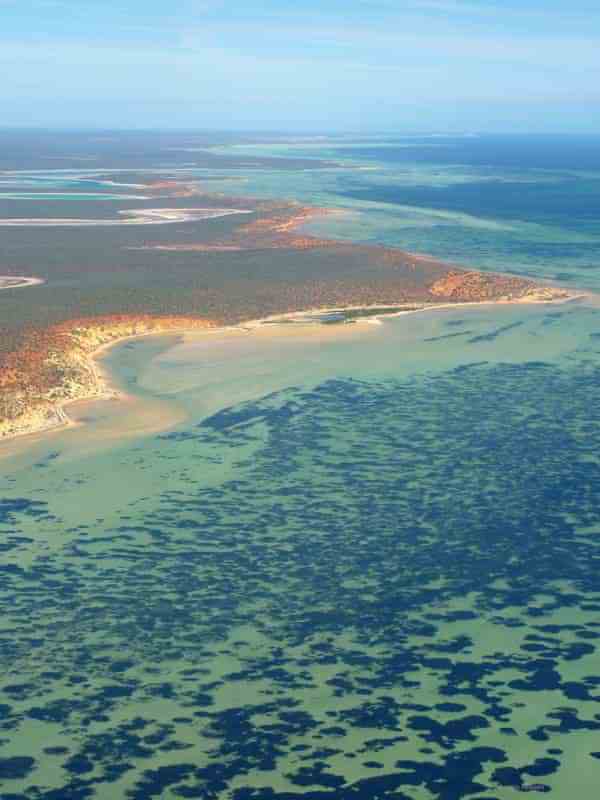Luftaufnahme der Shark Bay