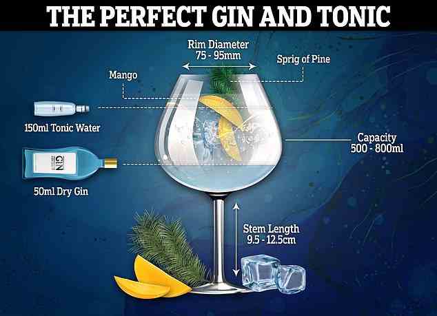 Der perfekte Gin Tonic des Experten muss im richtigen Glas mit der perfekten Temperatur serviert werden