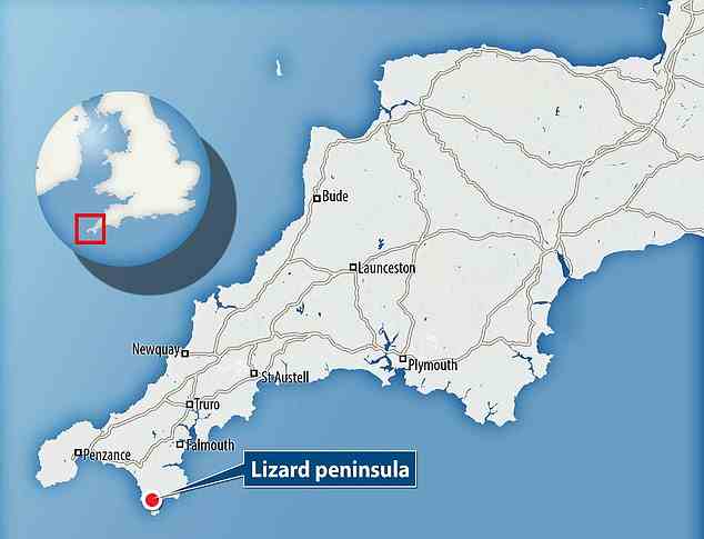 Taucher und Schnorchler haben von einer Zunahme der Sichtungen des Gewöhnlichen Kraken (Octopus vulgaris) berichtet, insbesondere um die Halbinsel Lizard in Cornwall
