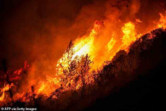 Ein sich erwärmendes Klima und eine erhöhte Feueraktivität während des Aussterbeereignisses scheinen alle Pflanzen an die Belastungsgrenze gebracht zu haben.  Oben abgebildet ist ein Waldbrand, der in den Kyrenia-Bergen in der Türkischen Republik Nordzypern wütet