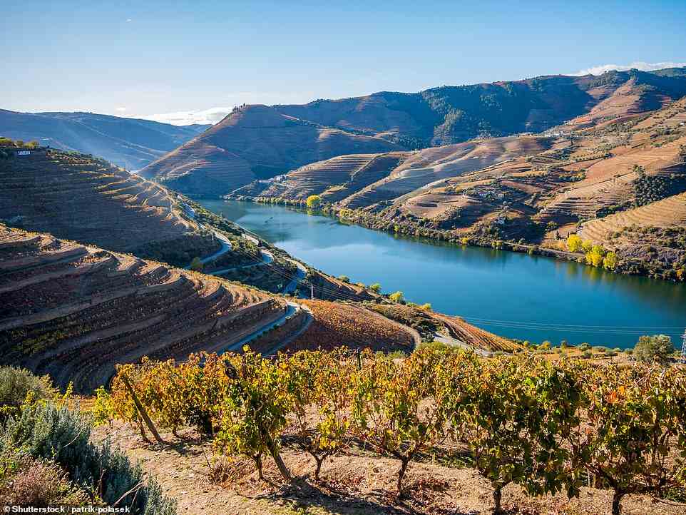 Der Urlaub im Tal des Goldes von Inn Travel in Portugal beginnt mit einer Zugfahrt am Ufer des Douro, auch bekannt als der „Fluss aus Gold“ (im Bild).