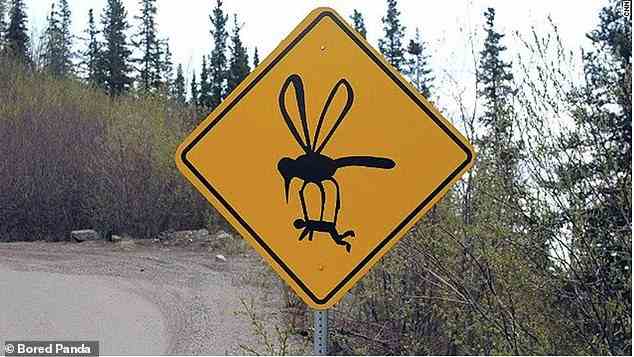 Das fliegt nicht!  Wir wissen, dass Mücken lästig sein können, aber dieses alarmierende Zeichen in Kanada scheint darauf hinzudeuten, dass Sie von einer entführt werden könnten
