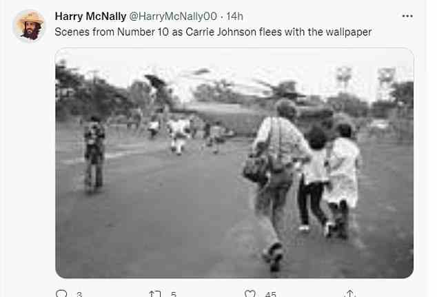 Zum gleichen Thema zeigte ein anderer Tweet ein berühmtes Foto der verzweifelten US-Evakuierung von Saigon während des Vietnamkriegs und sagte: „Szenen aus Nummer 10, als Carrie Johnson mit der Tapete flieht