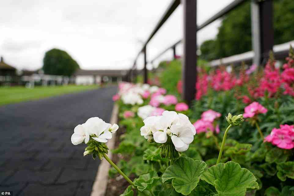 The racecourse was neatly prepared, with flowers along the parade ring perfectly trimmed and tidied ahead of Ladies day of the Moet and Chandon July Festival at Newmarket racecourse