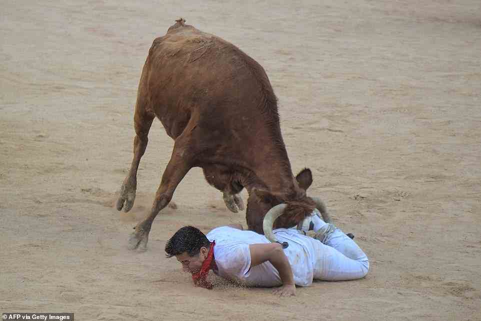 Ein Teilnehmer wird heute Morgen nach dem Encierro des San Fermin Festivals in Pamplona, ​​dem ersten von acht Stierläufen, von einer jungen Kuh gestürzt