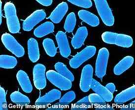 Listeria monocytogenes (Stamm), wie sie in vorverpackten Lebensmitteln gefunden werden, die in Krankenhäusern verkauft werden