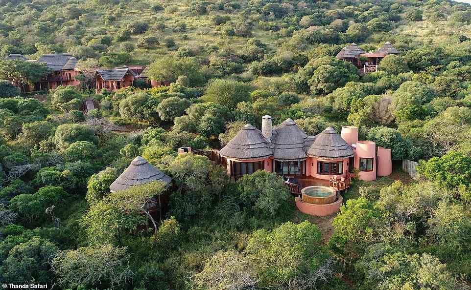 Oben sind die Villen der Thanda Safari Lodge, jede mit eigener Innen- und Außendusche, privatem Tauchbecken und Tagesbett