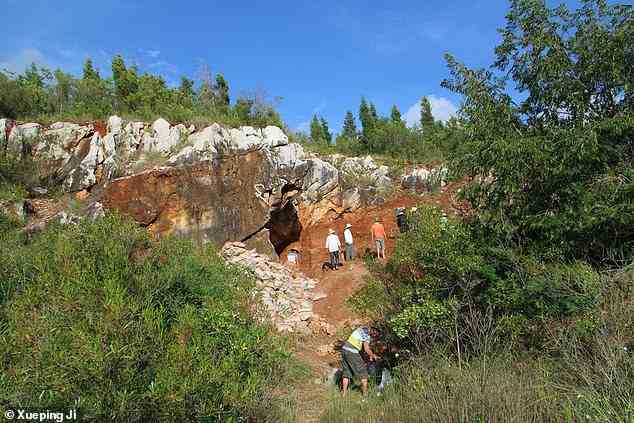 Die Entdeckung geht auf Arbeiten zurück, die vor mehreren Jahrzehnten begannen, als Archäologen in der oben abgebildeten Maludong- oder Red Deer-Höhle einen großen Knochensatz fanden