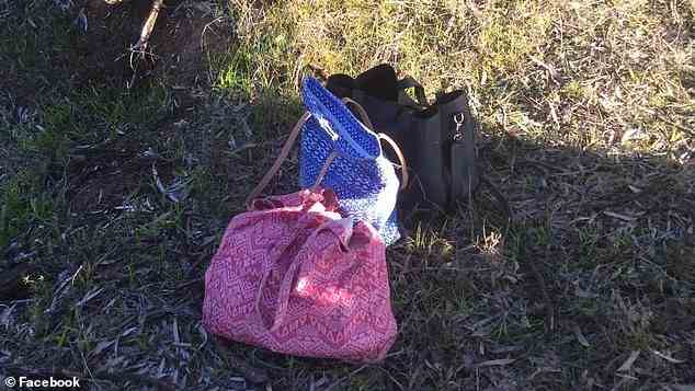 Die persönlichen Gegenstände von Frau South, darunter Taschen und Schlüssel, wurden 20 Meter von ihrem Auto entfernt gefunden