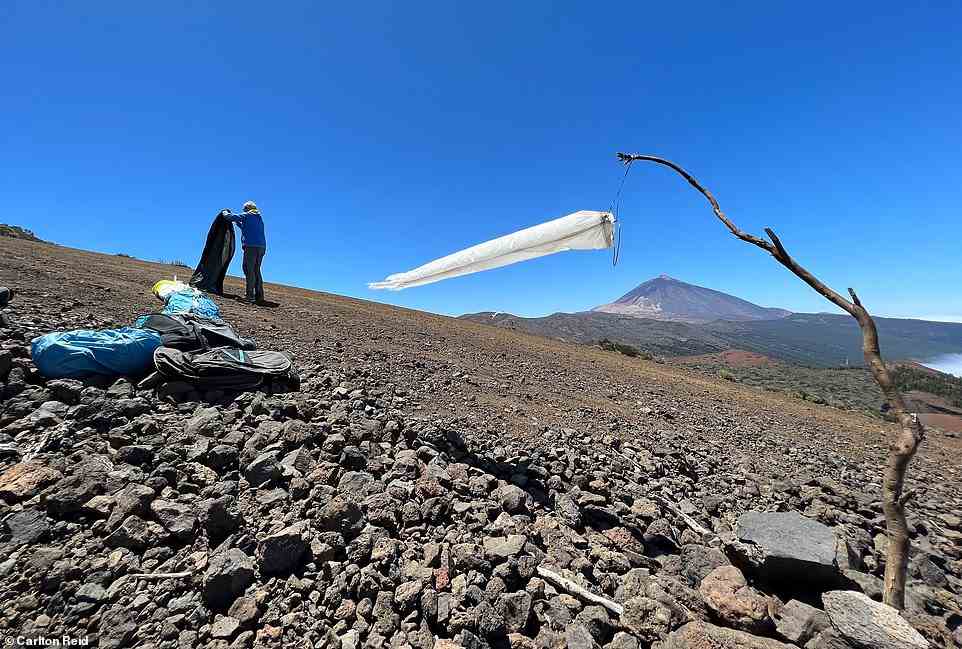 A wind sock, used to determine the speed and direction of the wind, at the Izana take-off zone. 'Seconds before take-off, we blithely signed a disclaimer form, skim-reading the fact that the "practice of paragliding activities carries serious risks",' says Carlton