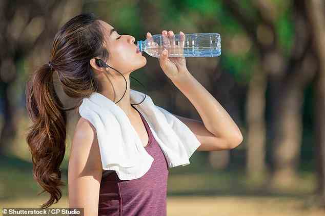 Der menschliche Körper besteht zu fast 60 Prozent aus Wasser, einschließlich 75 Prozent des Gehirns und 71 Prozent der Leber, daher ist es wichtig, hydriert zu bleiben, besonders bei heißem Wetter (Archivbild)