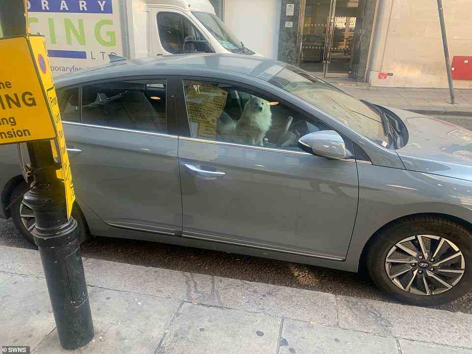 Police were forced to smash a car window in central London to save a dog amid scorching heat in central London